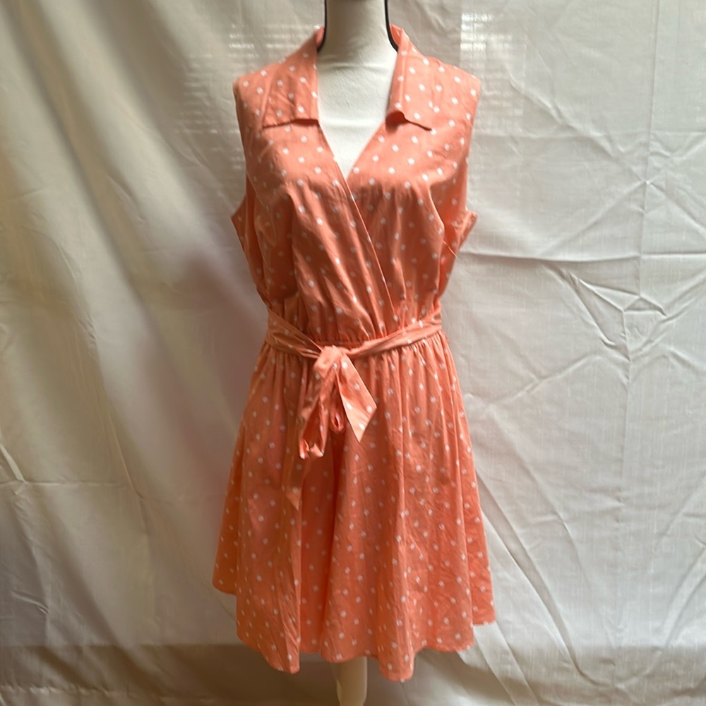 Vintage Look Polka Dot Dress